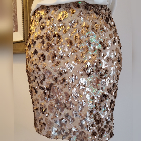 Joie Sequin Nude Tonal Mini Skirt $428 - Picture 4 of 13